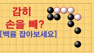 바둑 묘수 사활 - 감히 손을 빼? 백을 잡아보세요