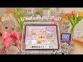 What's on my iPad? | Functional & Minimalist iPad Setup 🧸📱🌷✨