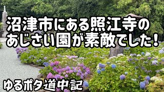 《静岡県沼津市 照江寺》の紫陽花が素敵でした！まさかのあの有名なキャラクターにも出会えました♪