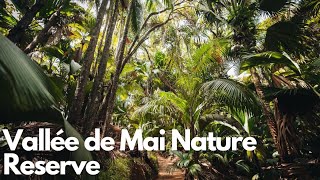 Exploring the Enchanting Vallée de Mai Nature Reserve in Seychelles