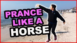 PRANCERCISING PARODY | SPOOF Fitness Workout Program at Home