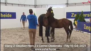 Darcy Z: DOURKHAN HERO Z x CORNET OBOLENSKY