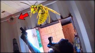 Airsofters vs Wasp Nest 🐝 (Epic Airsoft Pistol Only Gameplay)