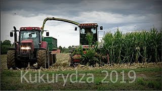 ☆Kukurydza na kiszonkę 2019 ☆ JAGUAR 690SL