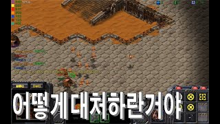 스타크래프트 유즈맵 - 입구 뚫기Impossible Scenarios3 v3.0(주황 시점 플레이#1)