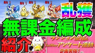 激ウマ！？周回PT紹介！ムラコダンジョンでピイやたまドラを乱獲しよう！パズドラ