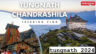 FINALLY TUNGNATH MAHADEV JI KE DARSHAN HO GAYE | THE WORLD HIGHEST TEMPLE TUNGNATH