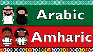 SEMITIC: ARABIC \u0026 AMHARIC