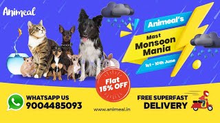 Animeal's Mast Monsoon Mania is Live!🌧️