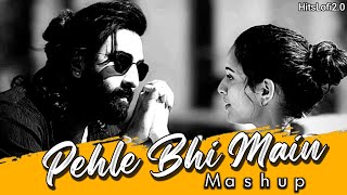 Pehle Bhi Main Mashup | Best of Vishal Mishra | Best of 2024 Mashup | Animal Songs | Hits Lofi