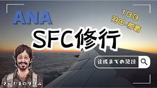 [SFC修行1日目]SFC修行を公開！アラフォーサラリーマンが目指す上級会員への道