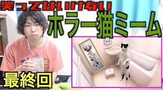 笑ってはいけないホラー猫ミームが過去最恐だったwwwww【まとめ】