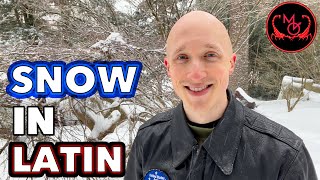 Snow in Latin! ❄️ All the words pertaining to SNOW | Latin Vocabulary