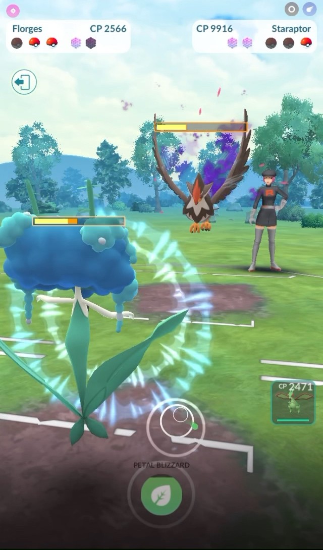 Florges Blue, Floatzel, & Flygon Pokémon GO