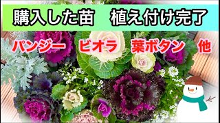 沢山買い過ぎて植えるの大変