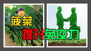 【增強免疫力 吃什麽 ? 】菠菜卓越的營養成分， 增強免疫力的全面效益！|免疫力下降 要吃什麽？|如何 增強免疫力? | 提升 天然免疫力|自然療法 免疫力