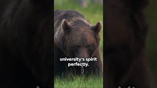 5 Fun Facts About Brown University