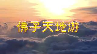 【有声字幕】《佛子天地游记》第二册 下篇【八、游黑绳地狱；前案中曾事杀业的罪灵讲述黑绳地狱惩戒】