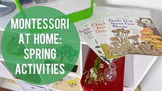 Montessori Inspired Spring Activities For Toddlers And Preschoolers