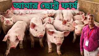 আমার ছোট্ট শুকরের খামার। 🐖 pig farm in West Bengal/pig farming @uttarankrishi