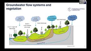 Building the European Peatlands Intitiative