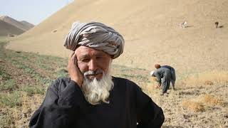 A Farmer Singing - Badghis Province | چهار بیتی های یک دهقان در ولایت بادغیس