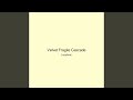 Velvet Fragile Cascade