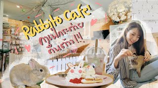 [Vlog] Rabbito Cafe' คาเฟ่กระต่ายสายบวกตื่นตัวที่สุดในสามโลก !