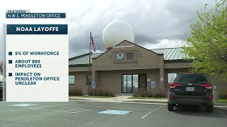 NOAA layoffs may affect NWS forecast offices