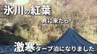 【ソロキャンプ】秋のタープ泊をしに来たら激坂と激寒のダブルパンチを食らいました【氷川キャンプ場】