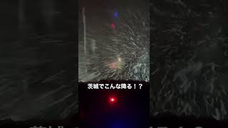 茨城雪降ってるなう❄️