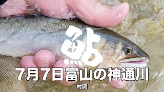 7月7日富山の神通川