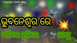 ଭୁବନେଶ୍ୱରରେ ରାତିରେ ବୁଲିଲେ 🦟ଡେଙ୍ଗୁ 💥#odia #viral #vlog #chandan swati vlog 🙏