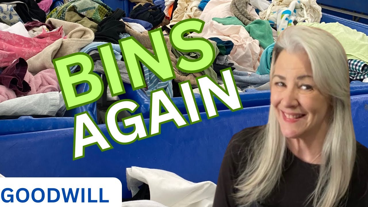 Goodwill Thrifting The Bins On A Sunday Youtube