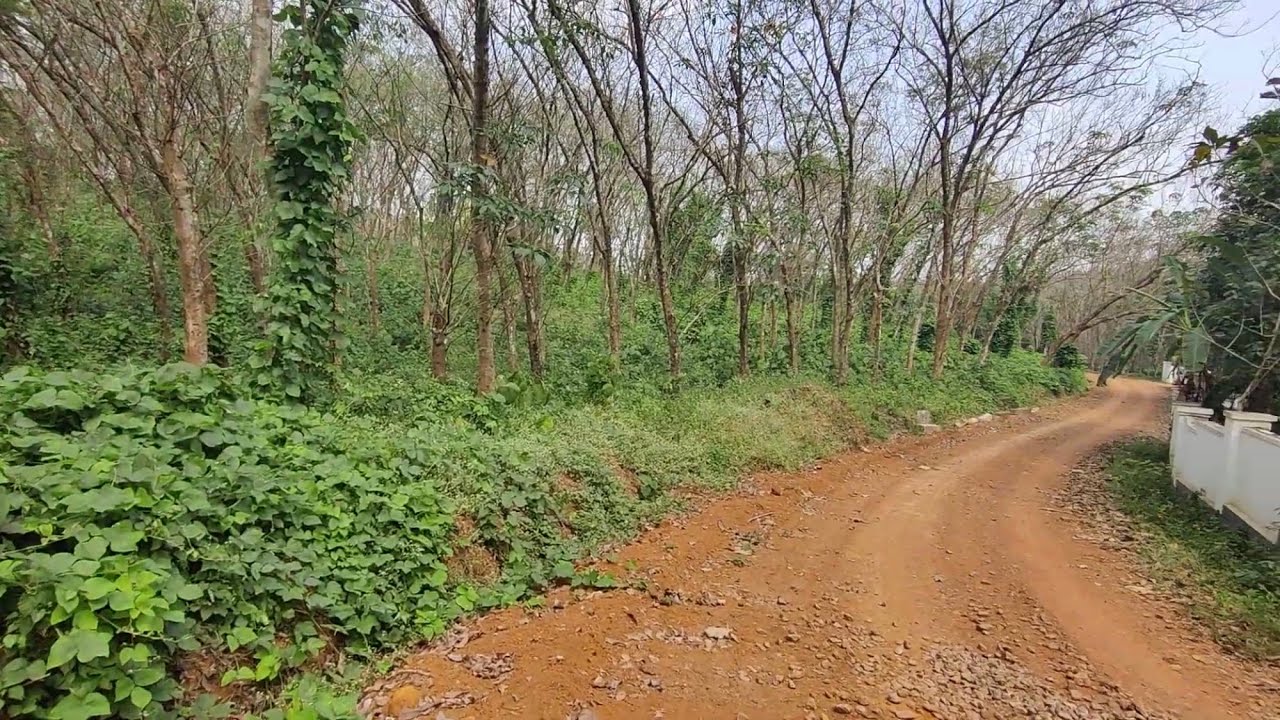 20 Acre’s Of Land For Sale In Ernakulam | Very Urgent Sale - YouTube