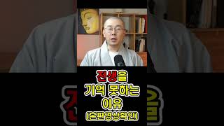 [위광사TV 스님상담 카카오톡 오픈! 댓글확인] 전생을 기억 못하는 이유#Shorts