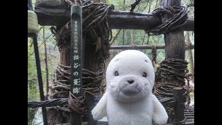 徳島県三好市　祖谷のかずら橋を渡ってきた