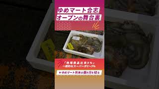 【地域最大級】食卓に地域の食材を届ける競りの現場に潜入【ゆめマート熊本】#shorts #就活生応援 #小売業