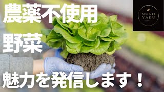 農薬・化学肥料未使用の野菜は、体にも地球にも優しい選択です。