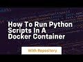 how to run python scripts in a docker container