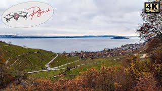 Twann with Lake Biel and St. Peter's Island Bernese Seeland Switzerland 4k by Air