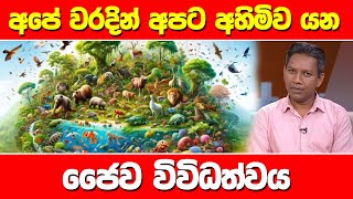 අපේ වරදින් අපට අහිමිව යන ජෛව විවිධත්ව