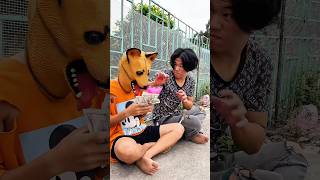 kind and brave puppy #trending #viralvideo #dog #shorts