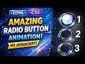 How to Create Radio Button UI Animation | HTML CSS Only (No JS)