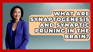 What Are Synaptogenesis And Synaptic Pruning In The Brain? - Brain Development Hub