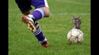 New 2019 🔥 Funny Football Soccer Vines ⚽️ Goals, Skills, Fails