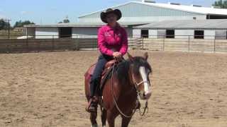 Jenny Sherbo-Schooling the Reining Horse Part One