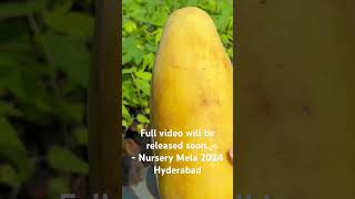 Nursery Mela 2024 Hyderabad