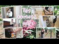 Napi vlog | Egy lazább napom :) #momlife #homemaking #cooking