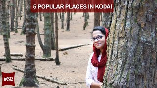 ഒറ്റദിനം കൊണ്ട് കൊടൈക്കനാലിൽ || 5 Places to visit in Kodaikanal || Kodaikanal Vlog ||Safnas Records